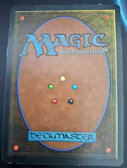 Savannah Revised Edition Regular - Image 2