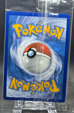 Greninja Gold Star SWSH144 Black Star Promo Pokemon Celebrations Sealed! - Image 2