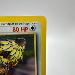 Pokemon Card Jungle Set Holo Pidgeot 8/64 WOTC - Image 3