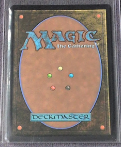 Borderless Maximum Carnage Foil #0225 Marvel's Spider-Man MTG 2025 - Image 2