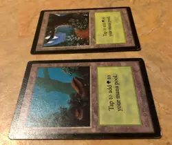 Lot of 2 MTG Beta Forest - Lightly Played Magic the Gathering Beta edition cards - Image 3