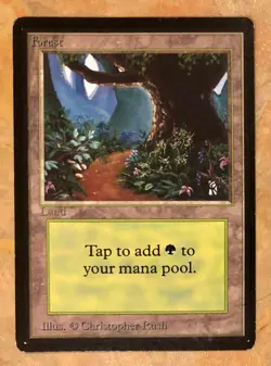 Lot of 2 MTG Beta Forest - Lightly Played Magic the Gathering Beta edition cards - Image 5