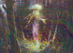 Foil Eidolon of Blossoms - Journey into Nyx Promos | MTG Card - Image 2