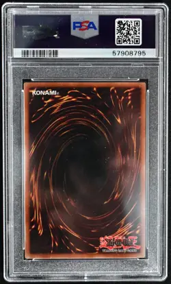 Yugioh FOREST LOB-046 1st Edition GEM MINT PSA 10 - Image 2