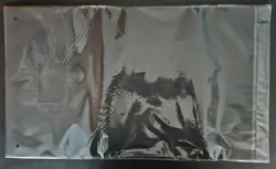 One Piece TCG Playmat Bandai Card Games Fest 24-25 Edition W/ Nami & Zeus Promo - Image 2