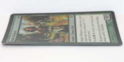 Noble Hierarch - Foil - MTG Conflux - LP - Image 4