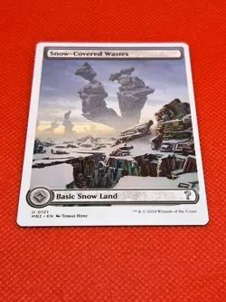MTG Snow-Covered Wastes(White Border) Mystery Booster 2 Regular - Image 2