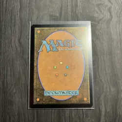 Tom Bombadil (Borderless Poster Foil✨) - MTGxLOTR - Image 2