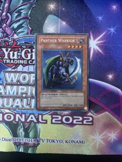 (SRH) Panther Warrior CT2-EN006 2005 Collectors Tin Limited Edition VLP - Image 1