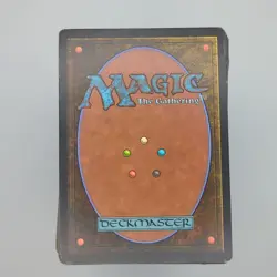 MTG Magic The Gathering TCG Card Bundle (200+ Non-Land, 100 Basic Lands) - Image 1