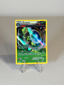 Vintage Pokemon Card Lot of 10! Dusknoir Holo, Torchic Reverse Holo + More! - Image 3