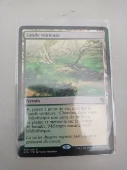 TODO : Photo Lande venteuse - Windswept Heath- Magic mtg - NM EN * 1 - fetchland - Image 1