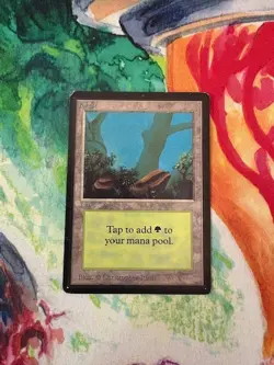 Forest Beta MAGIC THE GATHERING MTG Front good back poor - Image 1