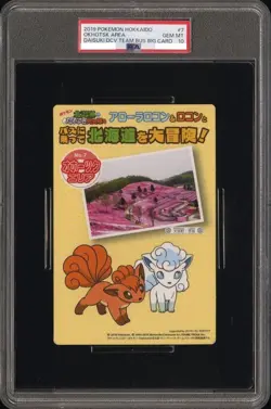 Psa10 Pokemon Hokkaido I Love Discovery Team Jumbo Card 7 Carddass - Image 1