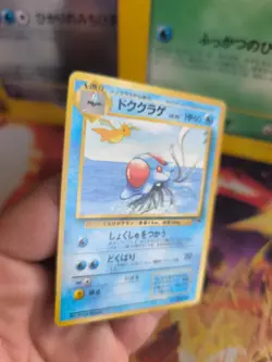Pokemon Karte Card Tentacruel Tentoxa Dragonite Southern Island Wotc japan Exc - Image 3