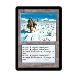 WOTC MtG Ice Age Adarkar Wastes (R) VG - Image 1