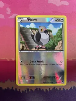 Pokemon Card Pidove Black & White Reverse Holo Common 84/114 Near Mint - Image 1