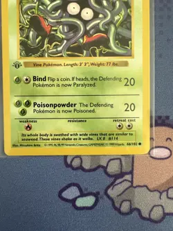 Pokemon Tangela 66/102 1st Edition Shadowless Base Set Card - Image 2