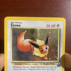 Eevee 11 2000 Holo Black Star Promo Rare WOTC Nintendo Pokemon Card TCG c577 - Image 2