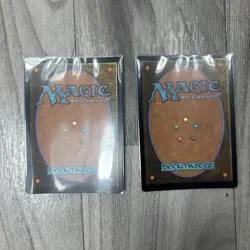 Magic The Gathering MTG Forest (384) FOIL Zendikar Rising Basic Land - Image 2