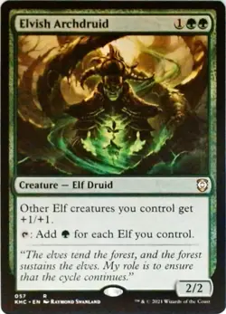 Magic | Elvish Archdruid | 57 | NM - Image 1
