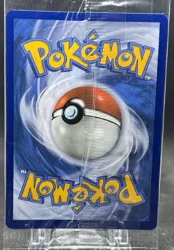Greninja Gold Star SWSH144 Black Star Promo Pokemon Celebrations Sealed! - Image 2