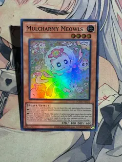 YuGiOh Asian English SUDA-AE025 Mulcharmy Meowls super rare Near Mint - Image 3