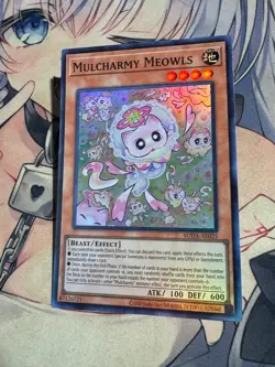 YuGiOh Asian English SUDA-AE025 Mulcharmy Meowls super rare Near Mint - Image 4
