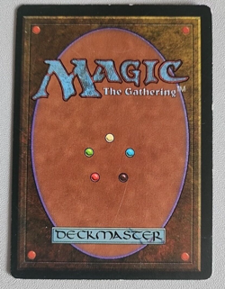 Scarwood Bandits The Dark LP Lightly Played MTG - Image 2