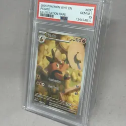 POKEMON - WHT EN - WHITE FLARE ILLUSTRATION RARE #097 PIGNITE - PSA 10 - 2025 - Image 2