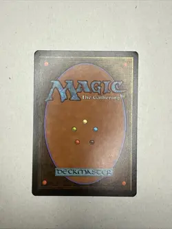 Bayou Revised Edition Regular - Image 2