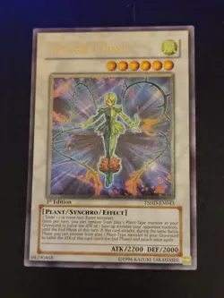 Splendid Rose TSHD-EN043 Ultimate 1st NM Condition - Image 1