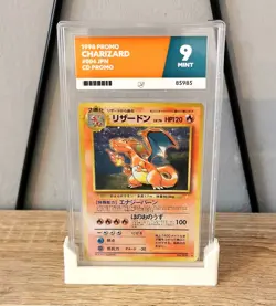 ACE GRADING Slab/Card Display Stand BONE WHITE - Pokemon, Digimon, TGC, MTG - Image 2