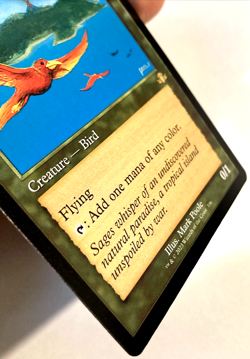 MTG Birds of Paradise *RETRO FRAME* Dominaria Remastered 336 NM - Image 2
