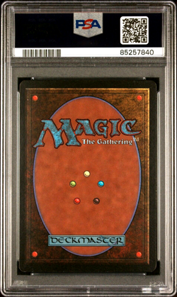 1993 MtG Magic the Gathering Limited Beta Frozen Shade Vintage PSA 8 NM-MT - Image 2