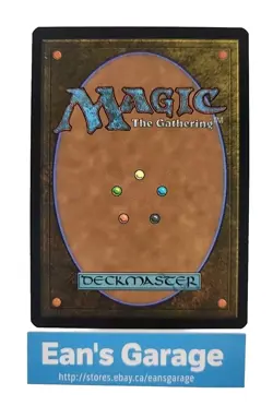 MTG Overflowing Basin 0308 Land OTC Outlaws of Thunder Junction Rare - MN - Image 2