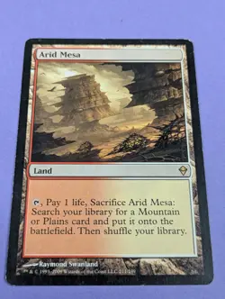 MTG Magic: Zendikar: Arid Mesa #211/249 Rare - LP - Image 1