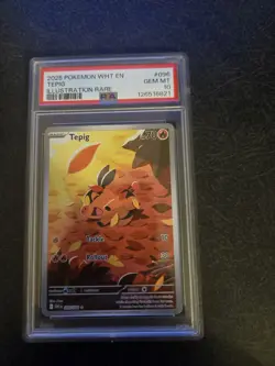 2025 POKEMON WHT EN-WHITE FLARE ILLUSTRATION RARE #096 TEPIG PSA 10 - Image 1