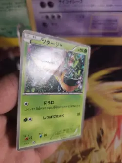 Pokemon Karte Card Snivy Serpifeu Uniqo Shirt Campaign BW Promo japanese LP - Image 3