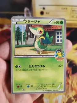 Pokemon Karte Card Snivy Serpifeu BW Promo Pokemon Center Ito japanese Good- - Image 2