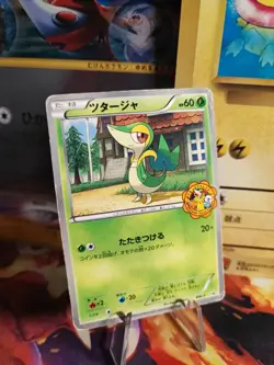 Pokemon Karte Card Snivy Serpifeu BW Promo IT Yokado Pokemon Center japanese - Image 1