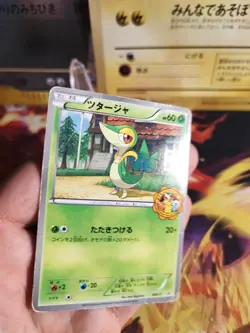 Pokemon Karte Card Snivy Serpifeu BW Promo IT Yokado Pokemon Center japanese - Image 2