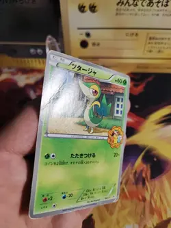 Pokemon Karte Card Snivy Serpifeu BW Promo IT Yokado Pokemon Center japanese - Image 4