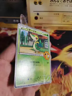 Pokemon Karte Card Snivy Serpifeu BW Promo IT Yokado Pokemon Center japanese - Image 5