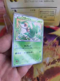 Pokemon Karte Card Holo Snivy Shiny Collection 2013 Rare Bw japanese Exc+ - Image 5