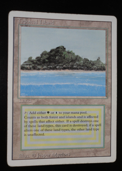 Tropical Island Revised MP Moderately Played MTG Magic the Gathering Dual Land - Image 1