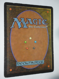 Tropical Island Revised MP Moderately Played MTG Magic the Gathering Dual Land - Image 2