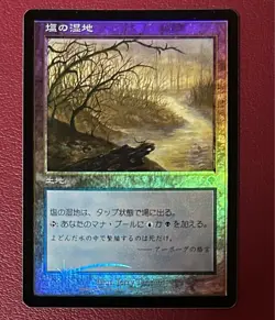 Salt Marsh Japanese Foil MTG Magic The Gathering Invasion Used - Image 1