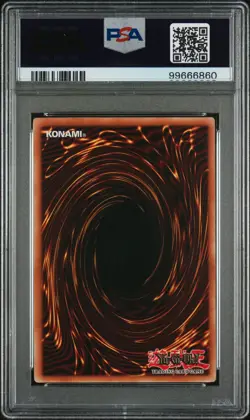 Yugioh PSA 10 GEM MINT Black Rose Dragon GHOST RARE CSOC - Image 2