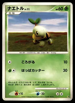 Turtwig - Entry Pack 2008 DP Pokemon Card - Image 1